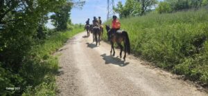 settimana trekking cavallo in agriturismo country house nelle Marche agriturismi a Urbino passeggiate a cavallo in agriturismo