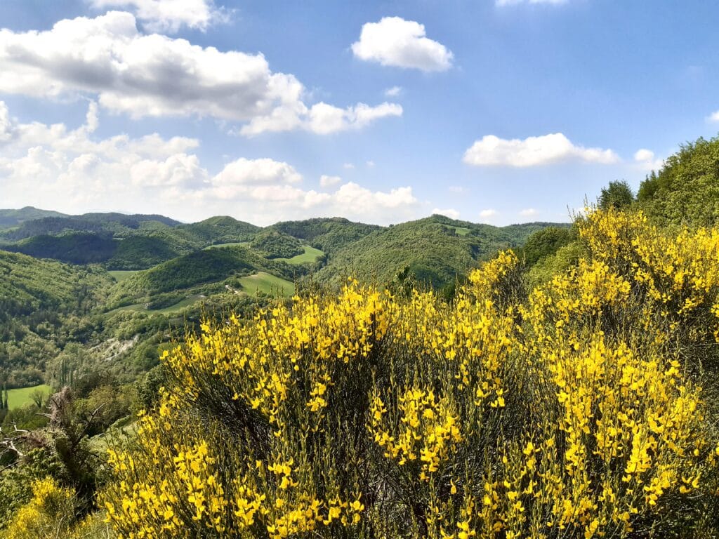 agriturismo Urbino panorama mozzafiato natura relax