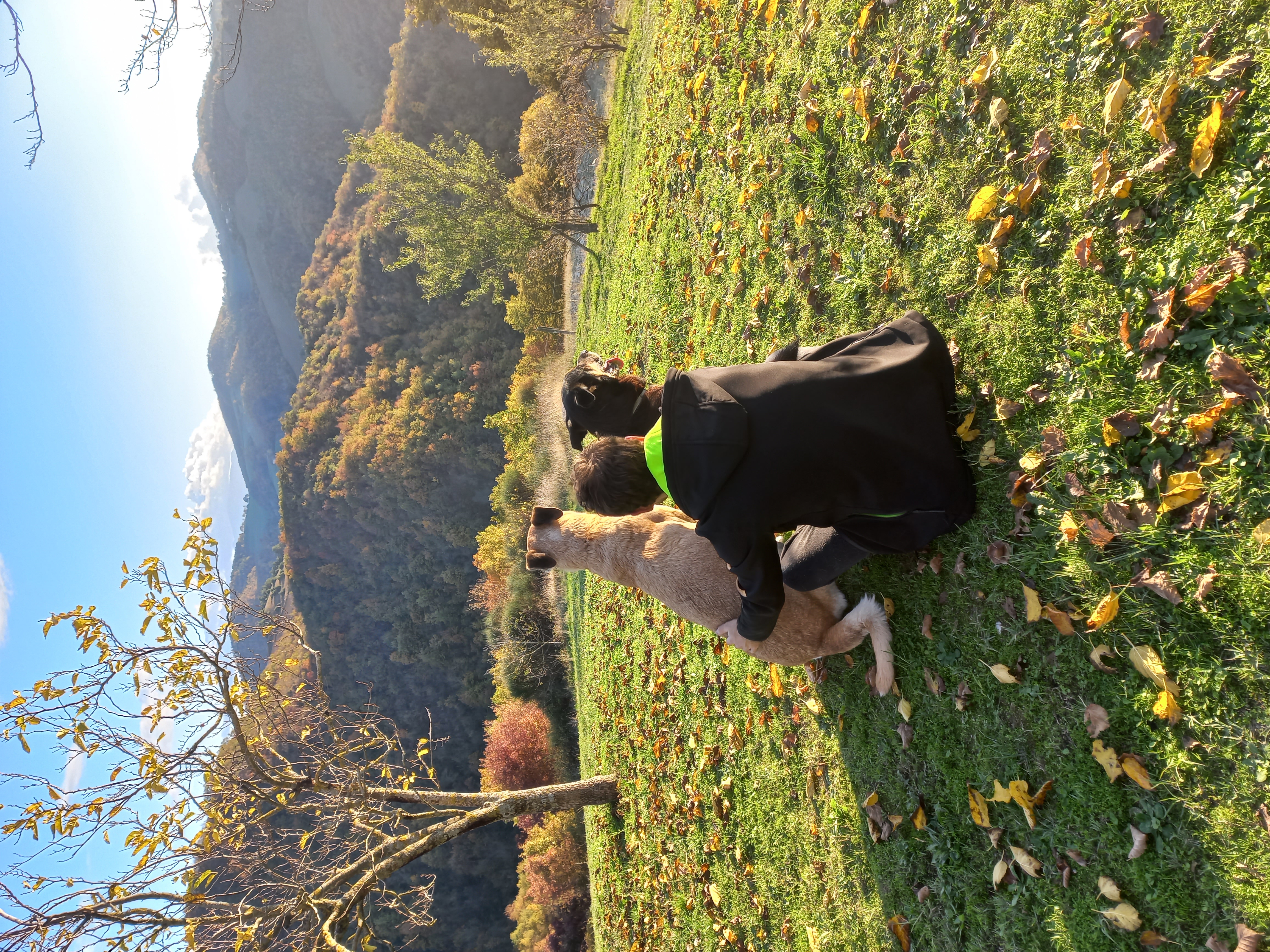 struttura dog welcome a Urbino, Country House a Urbino, cani benvenuti, casa vacanze Urbino, vacanze con cane in agriturismo